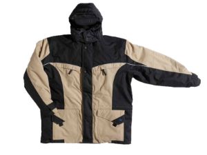 Afbeelding - 7907381-jpg